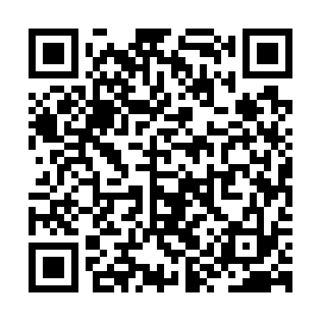 QR code for ZYU733