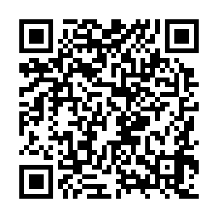QR code for ZYX399