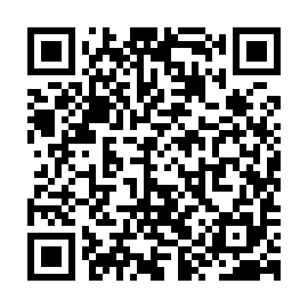 QR code for ZYY995