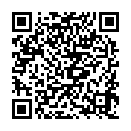 QR code for ZZD399