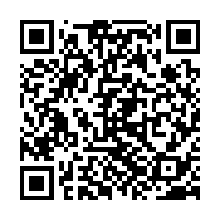 QR code for ZZG338
