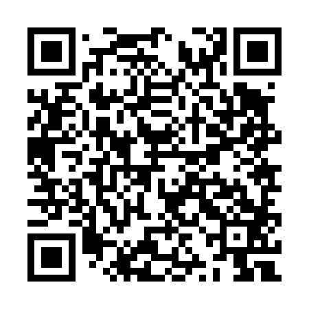 QR code for ZZJ483