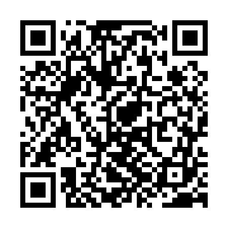 QR code for ZZO163