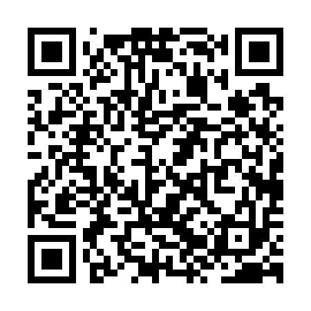 QR code for ZZP713