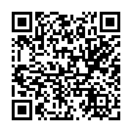 QR code for ZZQ911
