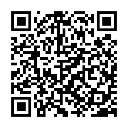 QR code for ZZR519