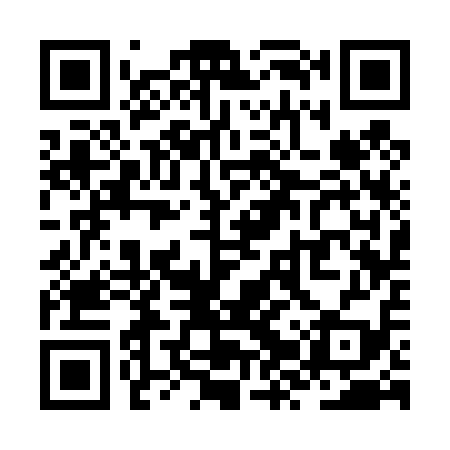 QR code for ZZS419