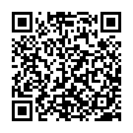 QR code for ZZT881