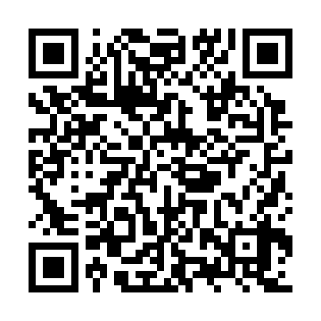 QR code for ZZZ338
