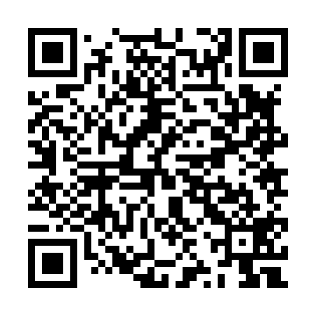 QR code for ZZZ819