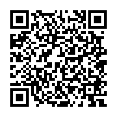 QR code for 0100487