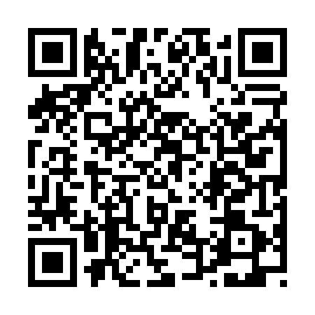 QR code for 0450411