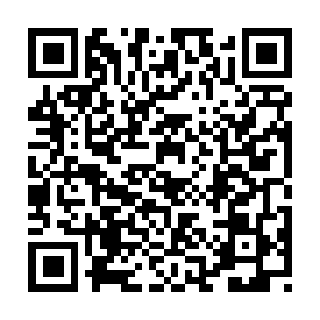 QR code for 0ANT495