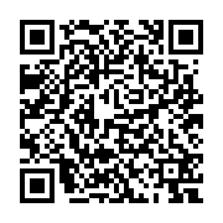 QR code for 0APG225