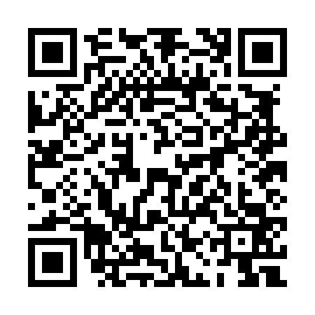 QR code for 0APL638