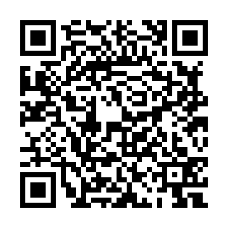 QR code for 0ASH333