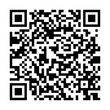 QR code for 0ASS571