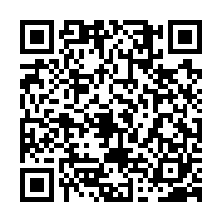 QR code for 0DDG603