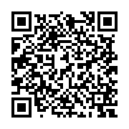 QR code for 0DEM413