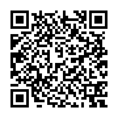 QR code for 0DGN308