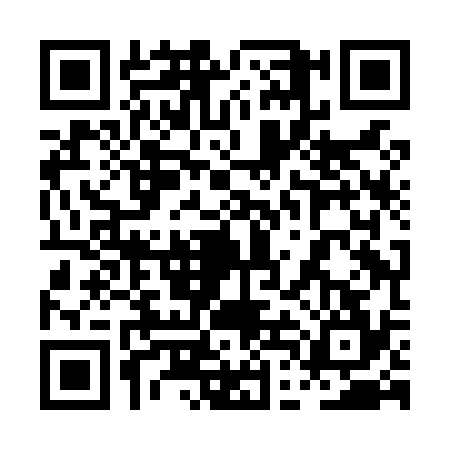 QR code for 0DHL341