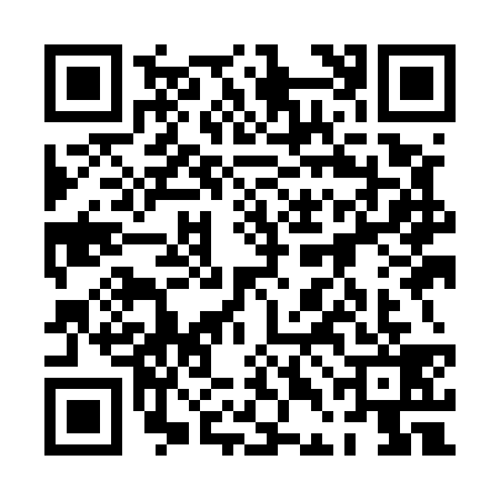 QR code for 0DIE393