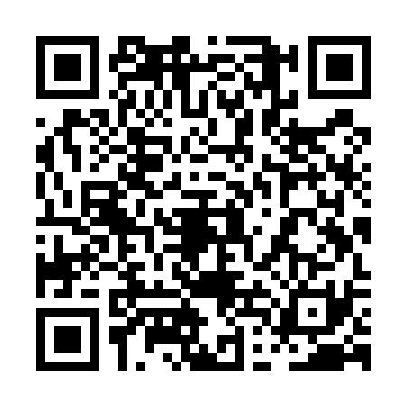 QR code for 0DKU311