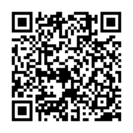 QR code for 0DMO411