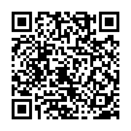 QR code for 0DPG381