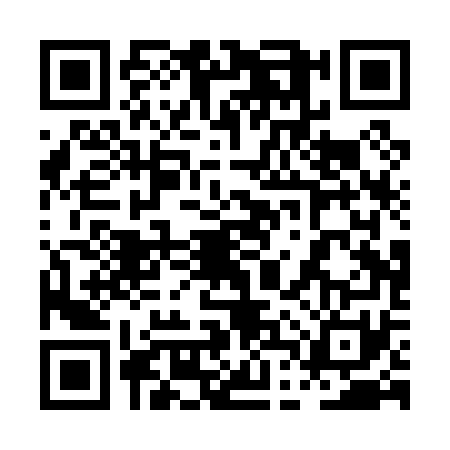 QR code for 0DPP717