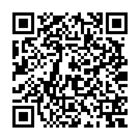 QR code for 0DZT206