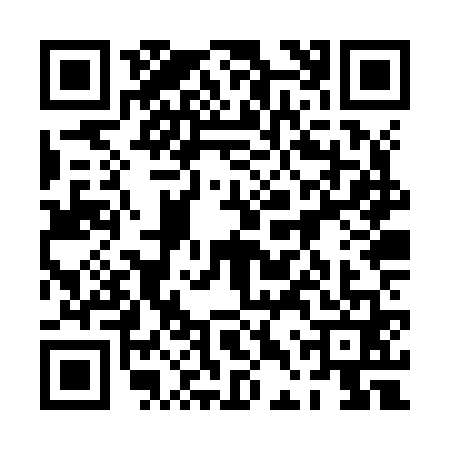 QR code for 0DZZ611