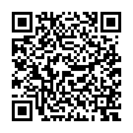 QR code for 0EGG411