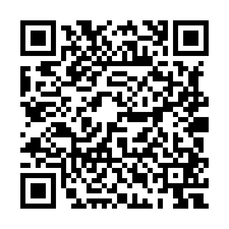 QR code for 0ELX411