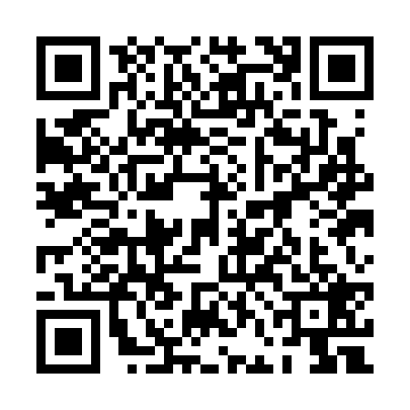 QR code for 0FAC295