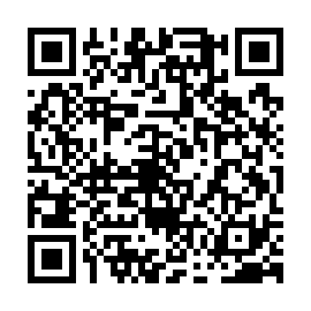 QR code for 0GIG310