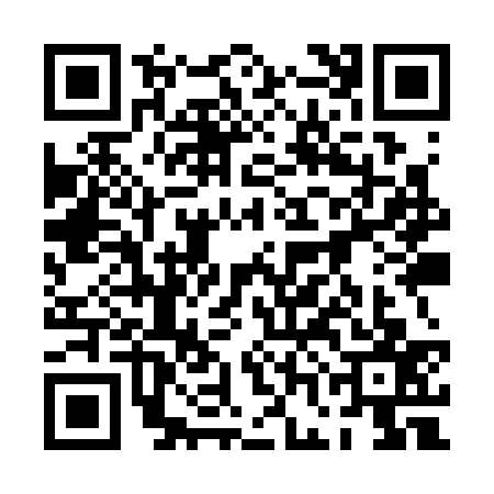 QR code for 0GIS371