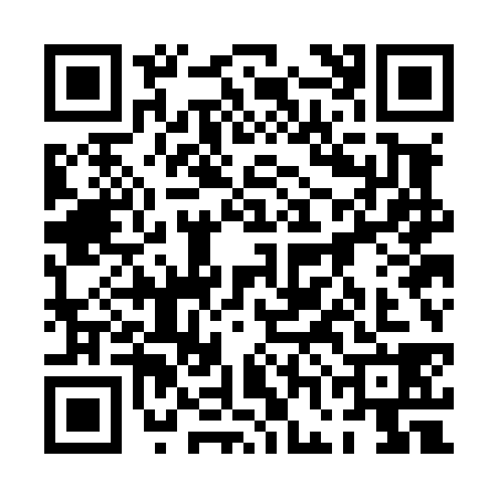 QR code for 0GOL385