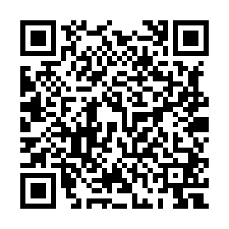 QR code for 0GOX401