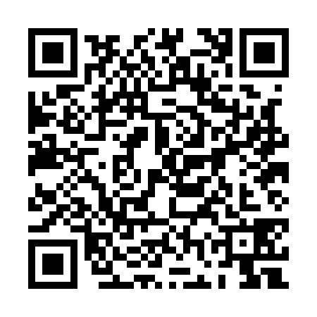 QR code for 0GPA384