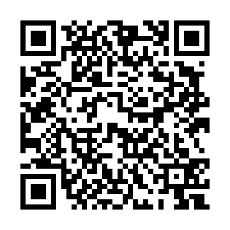 QR code for 0HID333