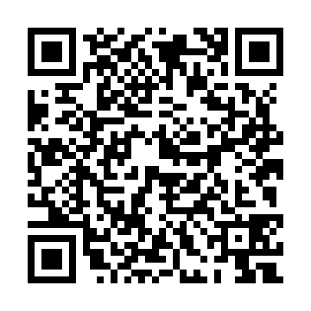 QR code for 0HLJ381