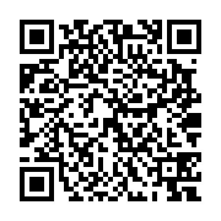 QR code for 0HNP387
