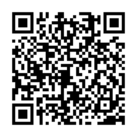 QR code for 0IAO333