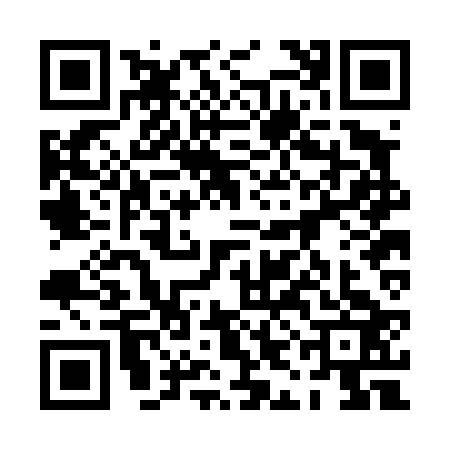 QR code for 0IBD233