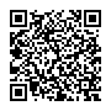 QR code for 0ICG448