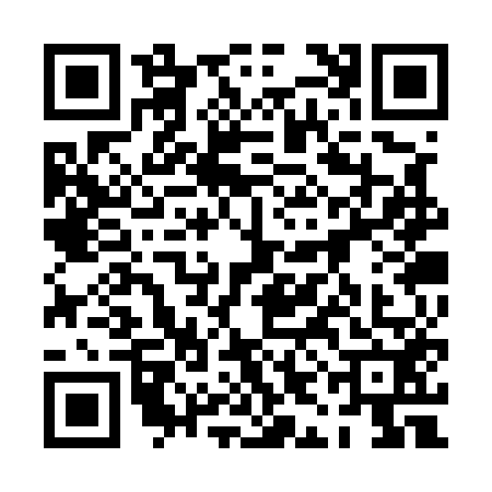 QR code for 0ICU520
