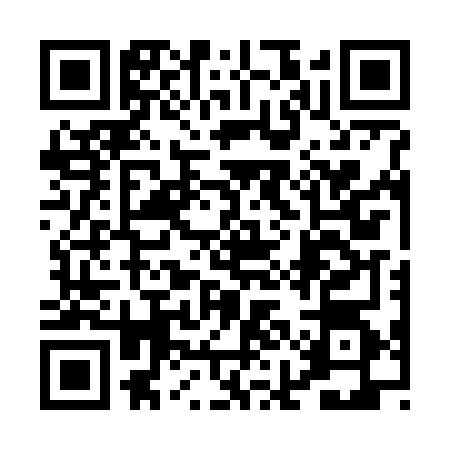 QR code for 0IGG641