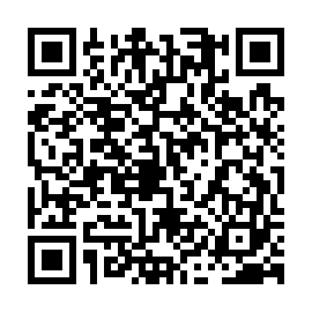 QR code for 0IIG638