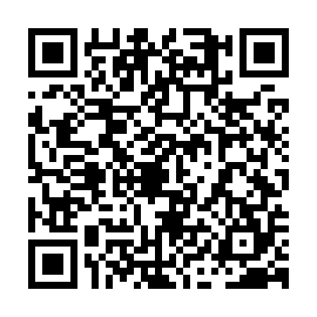 QR code for 0INK541